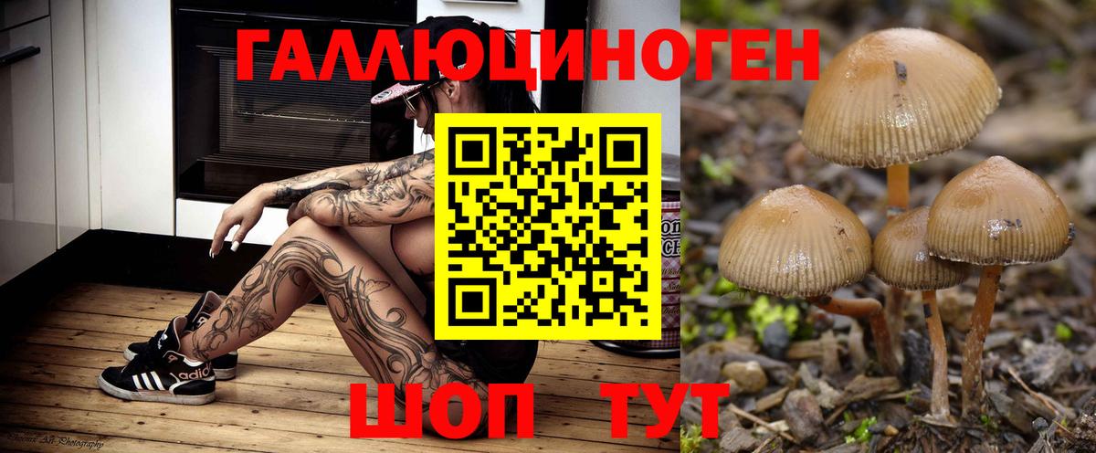Псилоцибиновые грибы прущие грибы Каменск-Уральский