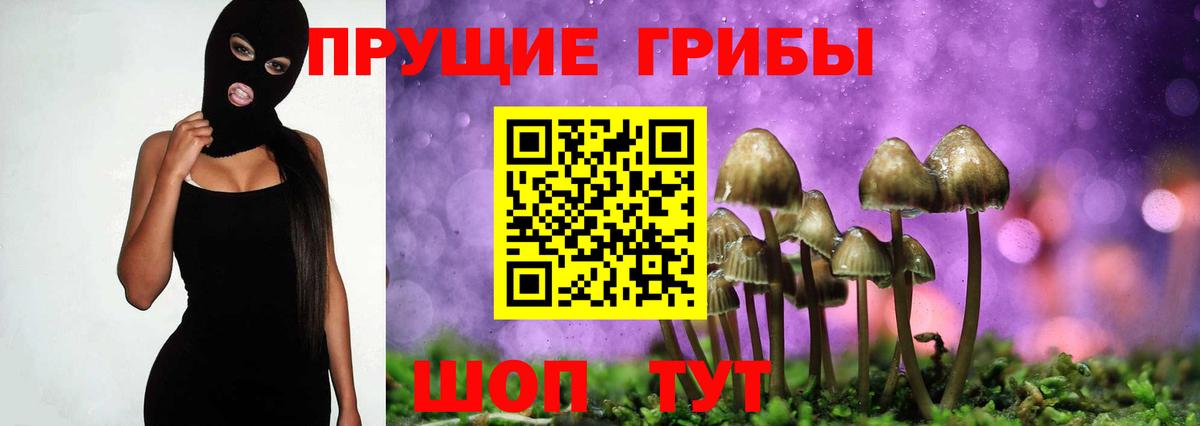Каменск-Уральский  Галлюциногенные грибы мухоморы  Вход с VPN 